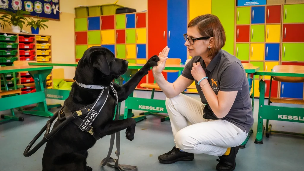Design with your heart, earn with your head: how Catherine Pado combines design with empathy (and doesn't get burned along the way) 2gentlewoman - Assistance dog